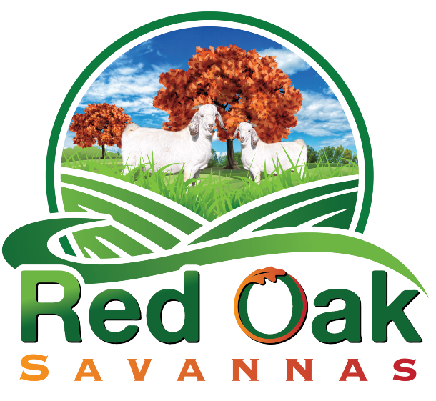 red oak savannas logo